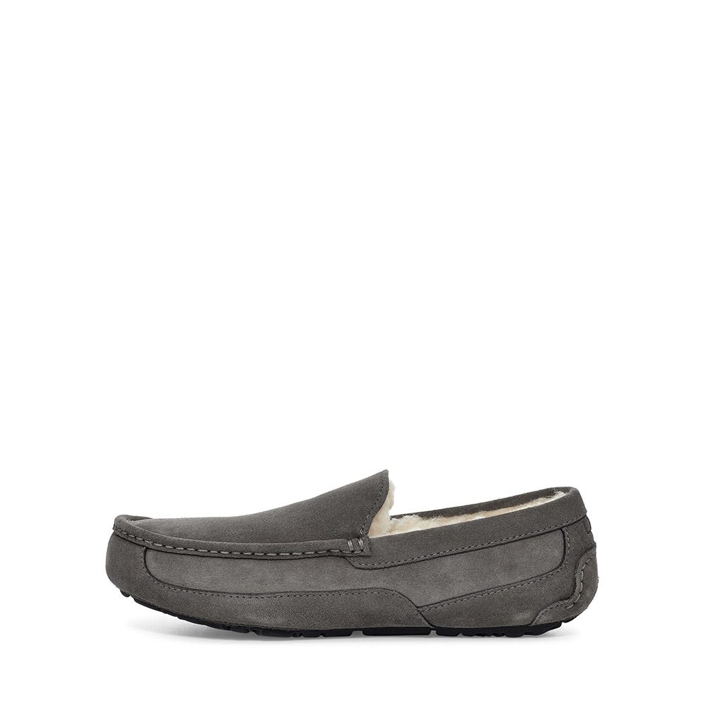 Men's UGG® Ascot | Schuler Shoes