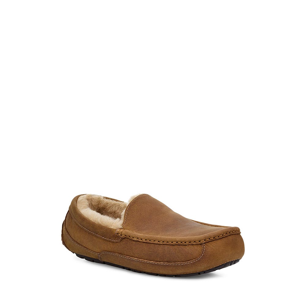 Men's UGG® Ascot | Schuler Shoes