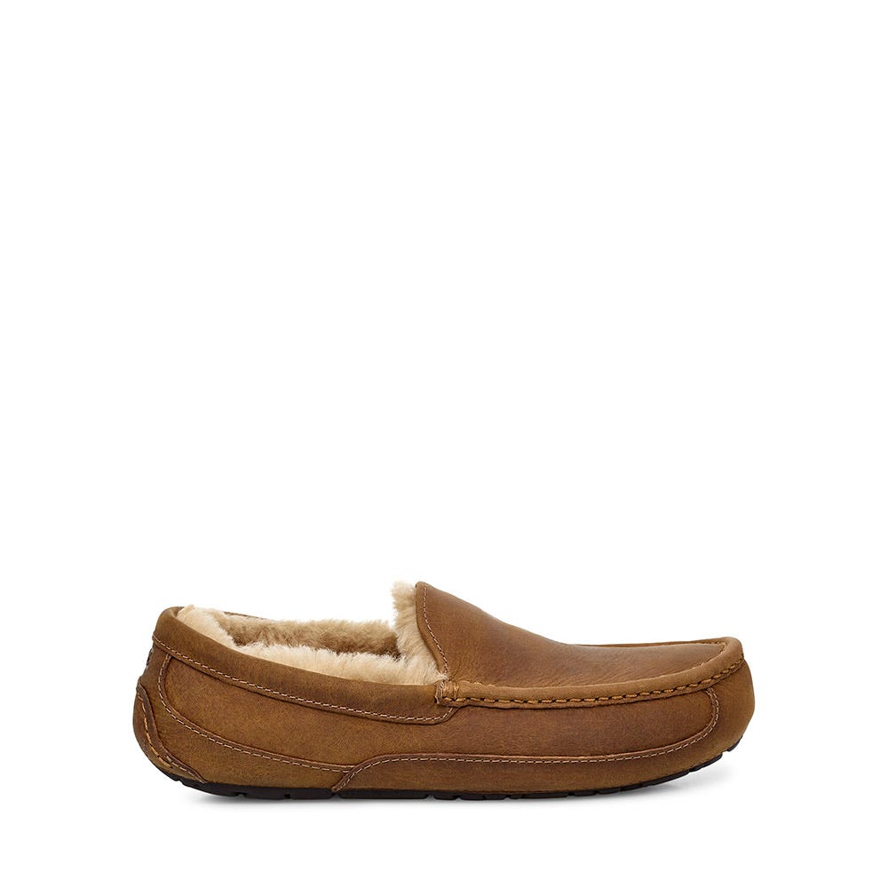 Men's UGG® Ascot | Schuler Shoes