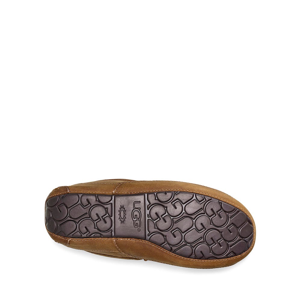 Men's UGG® Ascot | Schuler Shoes