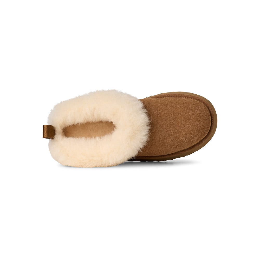 Women's UGG® Tazzelle | Schuler Shoes