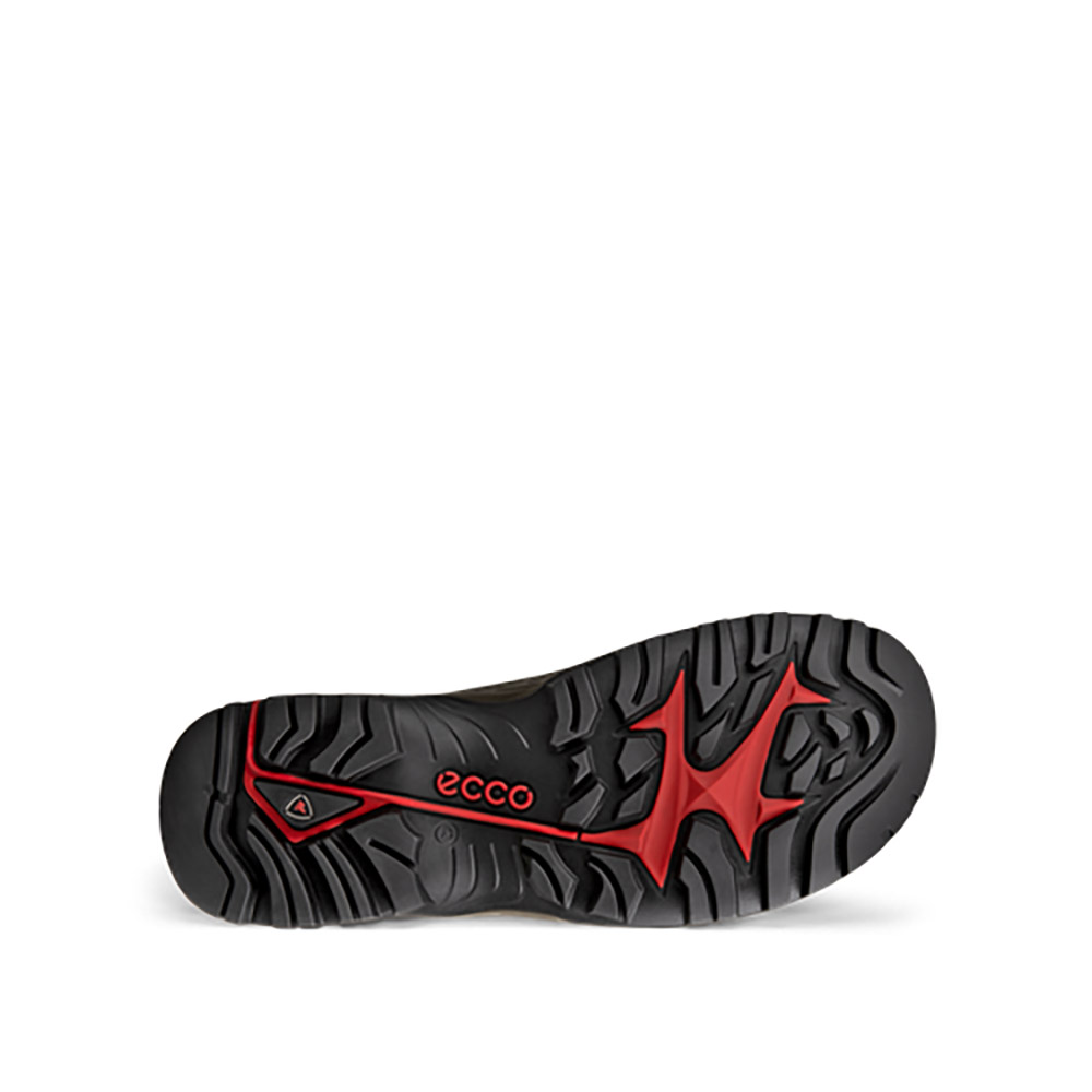 Men's Ecco Offroad Waterproof Low | Schuler Shoes