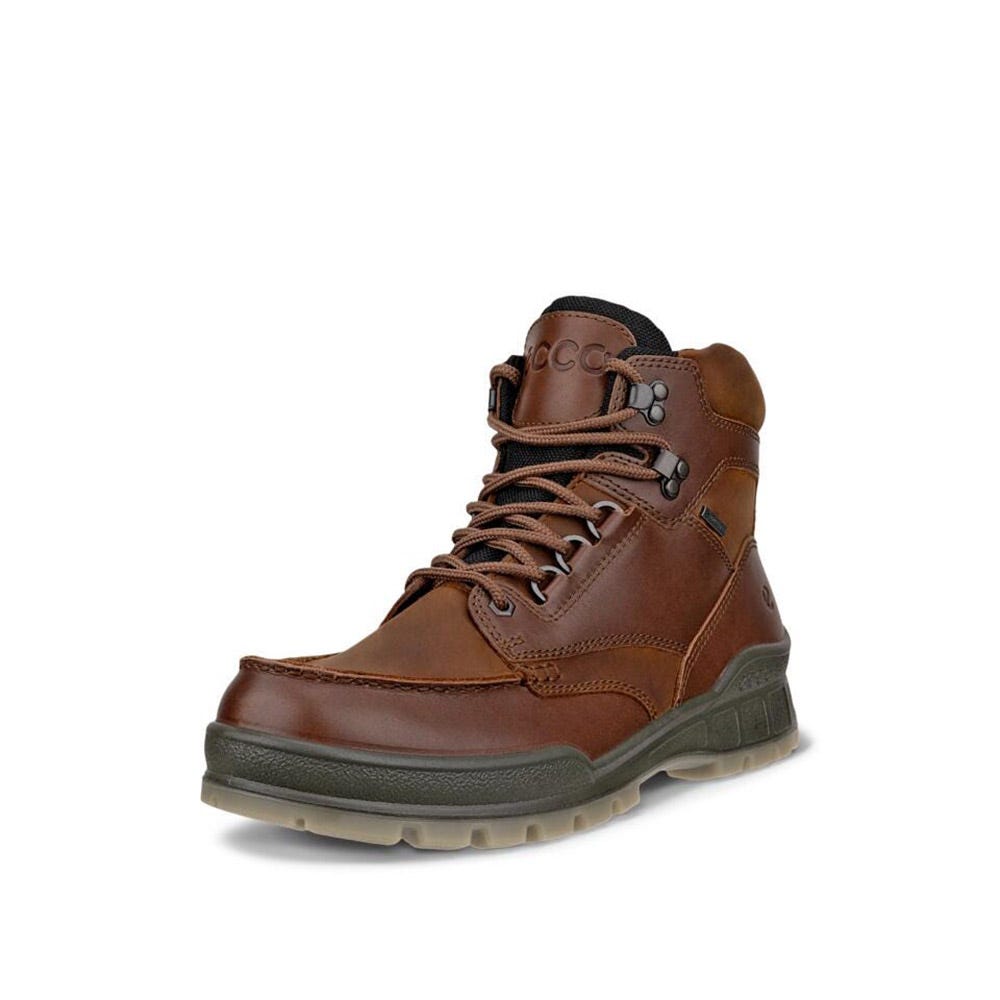 Men's Ecco Track 25 Mid Gore-tex | Schuler Shoes