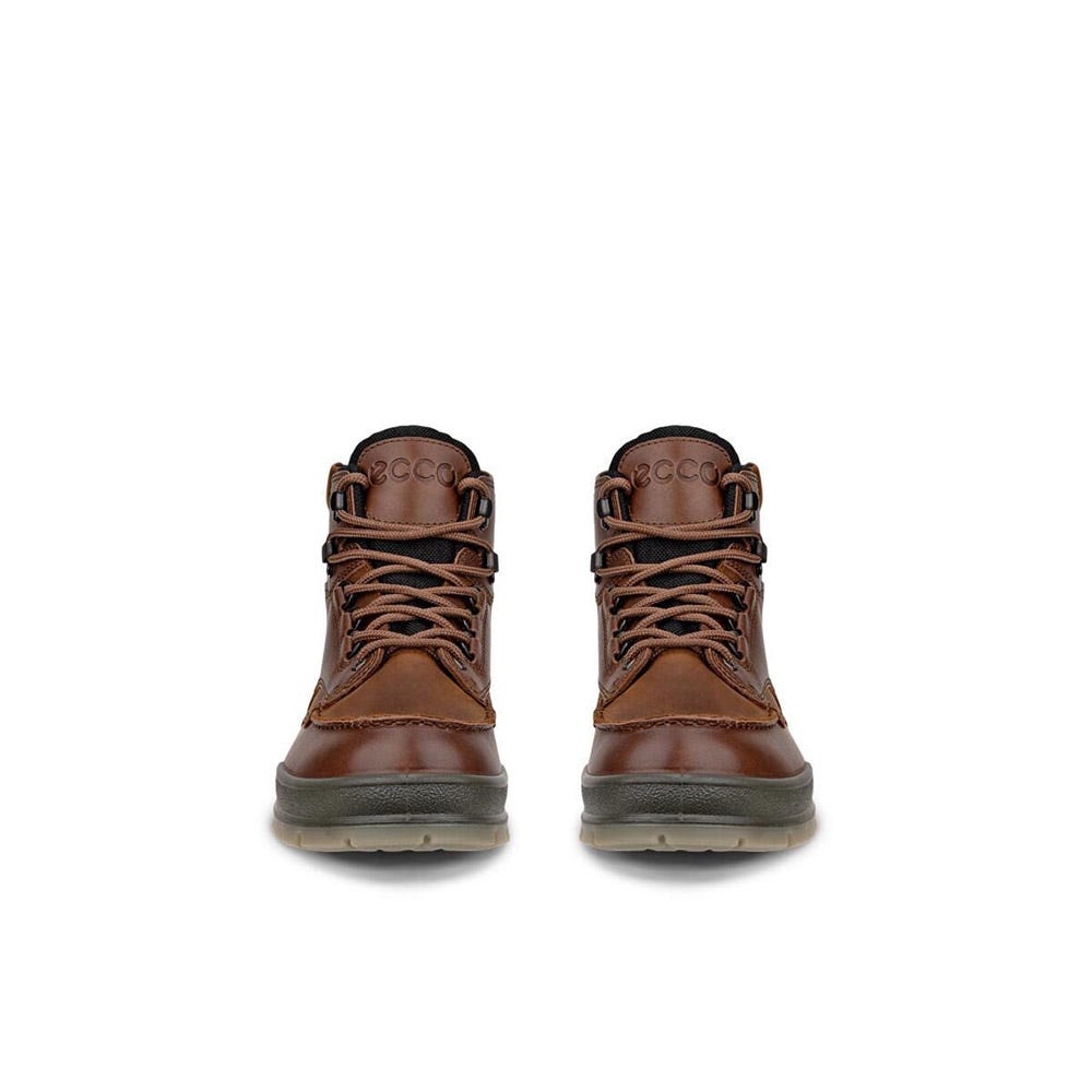 Men's Ecco Track 25 Mid Gore-tex | Schuler Shoes