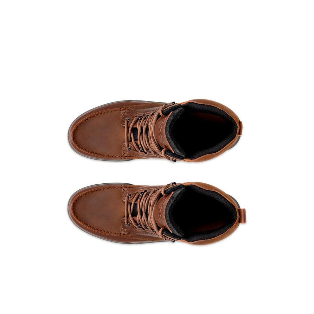Men's Ecco Track 25 Mid Gore-tex | Schuler Shoes