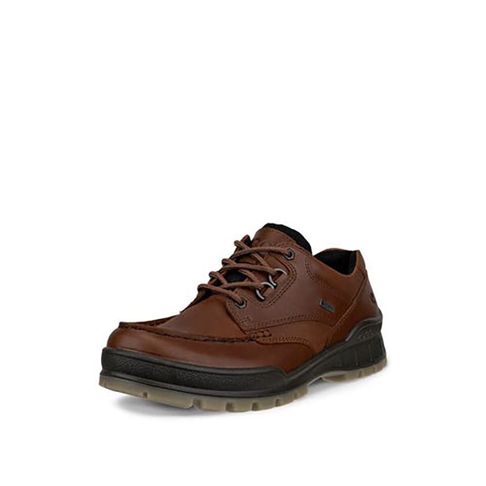 Men's Ecco Track 25 Low | Schuler Shoes