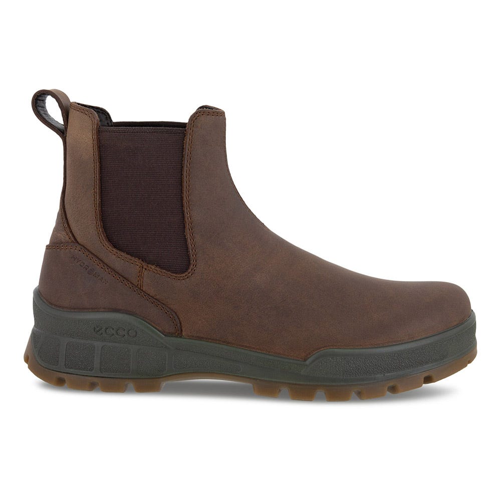 Men's Ecco Track 25 Chelsea Boot Schuler Shoes