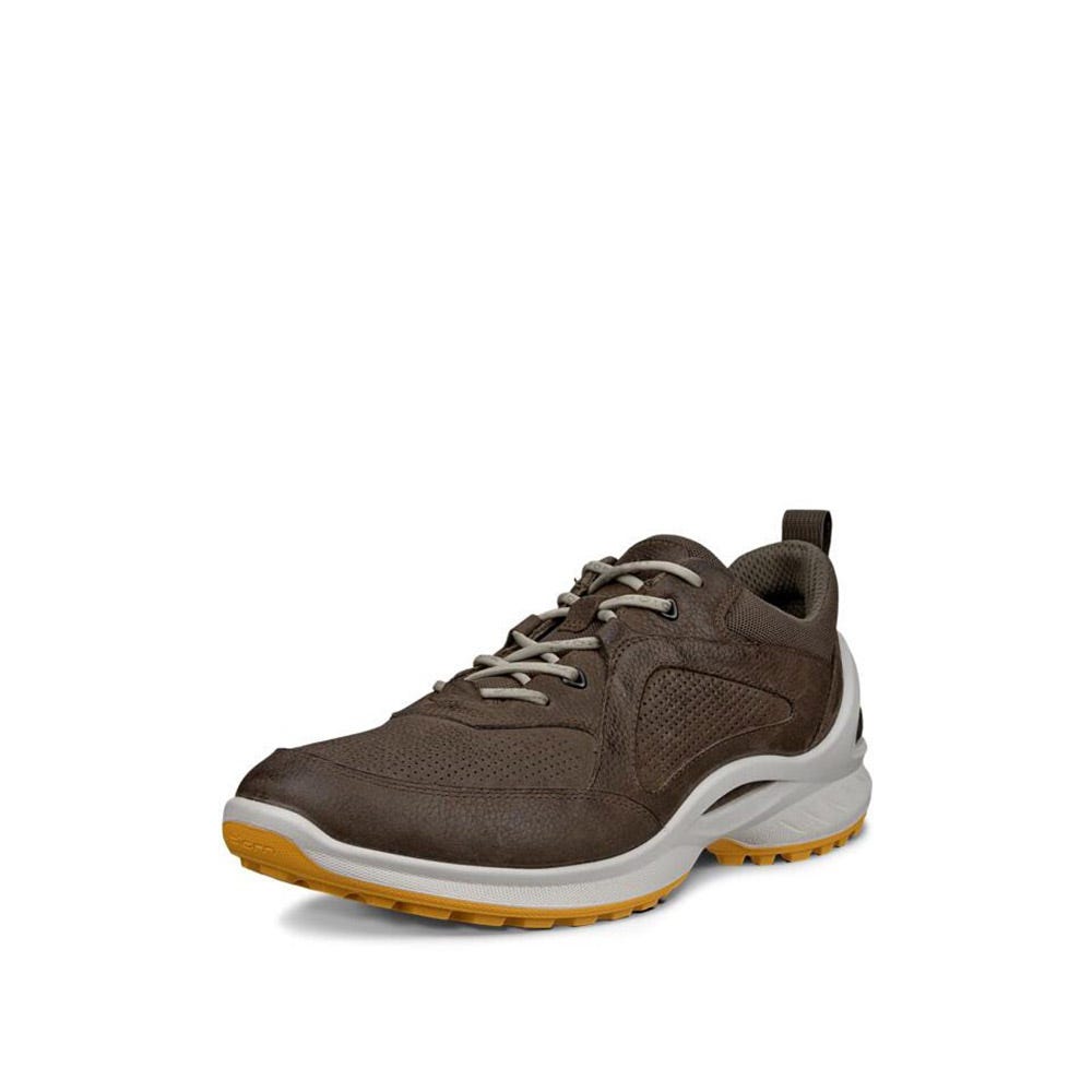 eko　1207 Men's Ecco Biom Energi Explorer | Schuler Shoes
